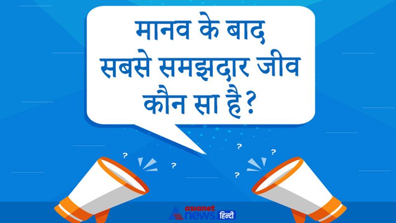 सवाल- मानव के बाद सबसे समझदार जीव कौन सा है?
जवाब: मानव के बाद सबसे समझदार जीव डाल्फिन है। 
