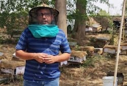 How a digital marketing expert took to beekeeping and started selling it online