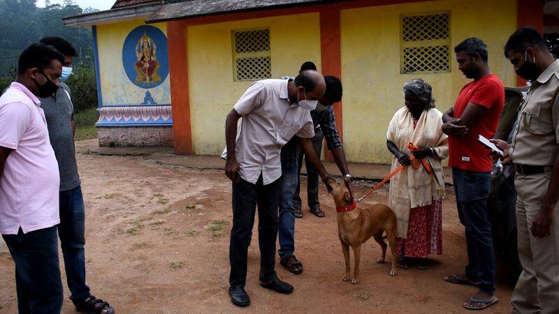 kuvi pet dog met palaniyamma after 8 months
