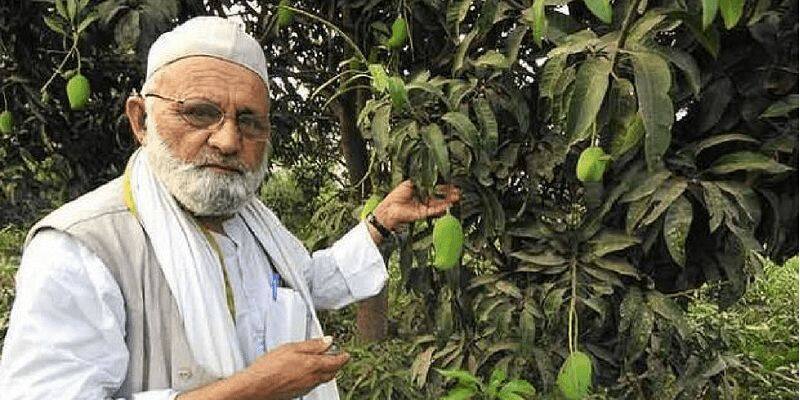 haji kalimullah khan names new mango Variety as amit shah aam