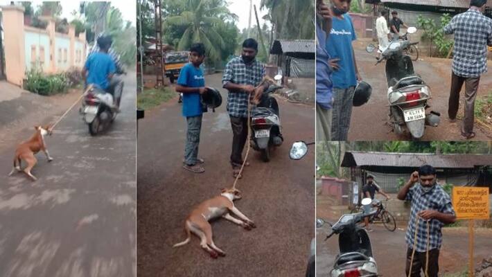 man who dragged dog behind him on scooty arrested man who dragged dog behind him on scooty arrested