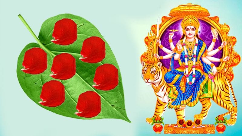 1. चैत्र नवरात्रि में पान के पत्ते पर गुलाब की सात पंखुड़िया रखें और महालक्ष्मी मन्त्र पढ़ते हुये वो पान देवी मां को चढ़ा दें। इससे आपकी परेशानियां कम हो सकती हैं।
