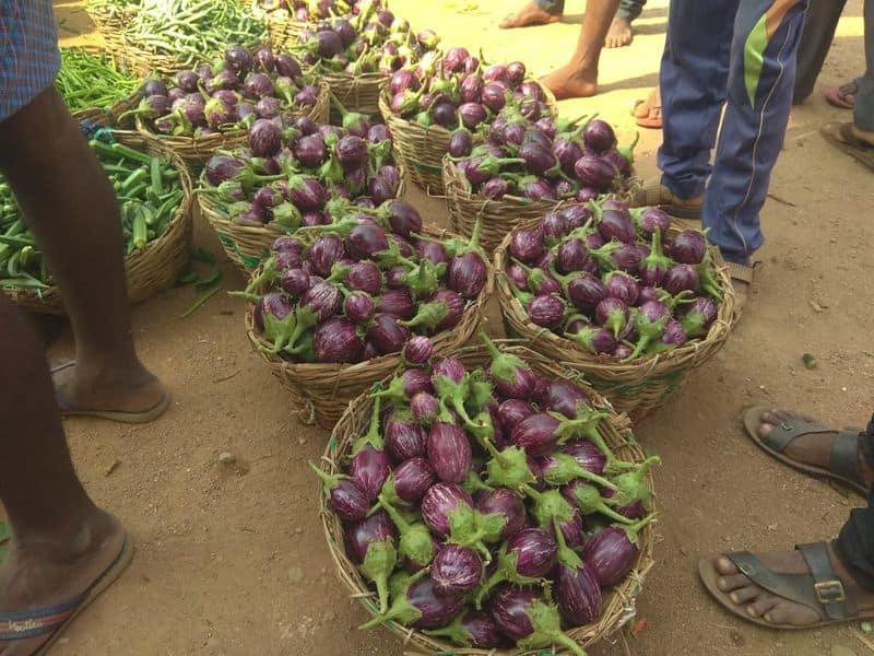 Vegetable Prices Fall Due to KSRTC Strike at Hanumasagar in Koppal grg