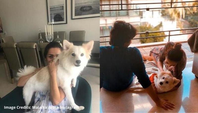 Malaika Arora is one of the celebs who is at home with her son Arhaan Khan and dog Casper.