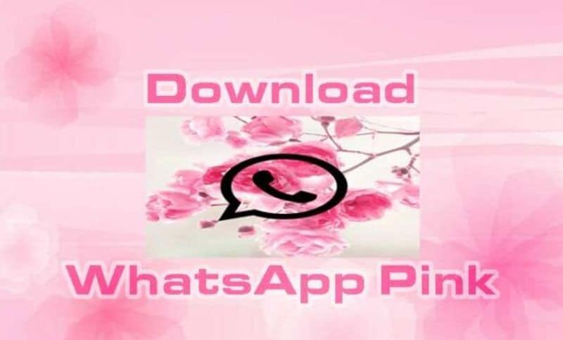 వాట్సాప్ పింక్ గురించి సైబర్ సెక్యూరిటీ నిపుణుడు ఒక ట్వీట్ ద్వారా ప్రజలను హెచ్చరించారు. అలాంటి మెసేజ్ తో కనిపించే లింక్స్ పై క్లిక్ చేయవద్దని తెలిపారు. సైబర్ స్కామ్ అనేది చాలా పాత పద్ధతి అయినప్పటికి దీని ద్వారా డేటాను హ్యాక్ చేయవచ్చు అలాగే హ్యాకర్లు మీ ఫోన్కి అక్సెస్ పొందుతారు. ఇంకా మీ ఫోన్లోని మొత్తం డేటాను కూడా యాక్సెస్ చేయవచ్చు.