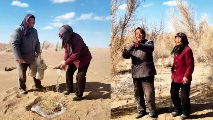 retired couple fighting the desertification retired couple fighting the desertification