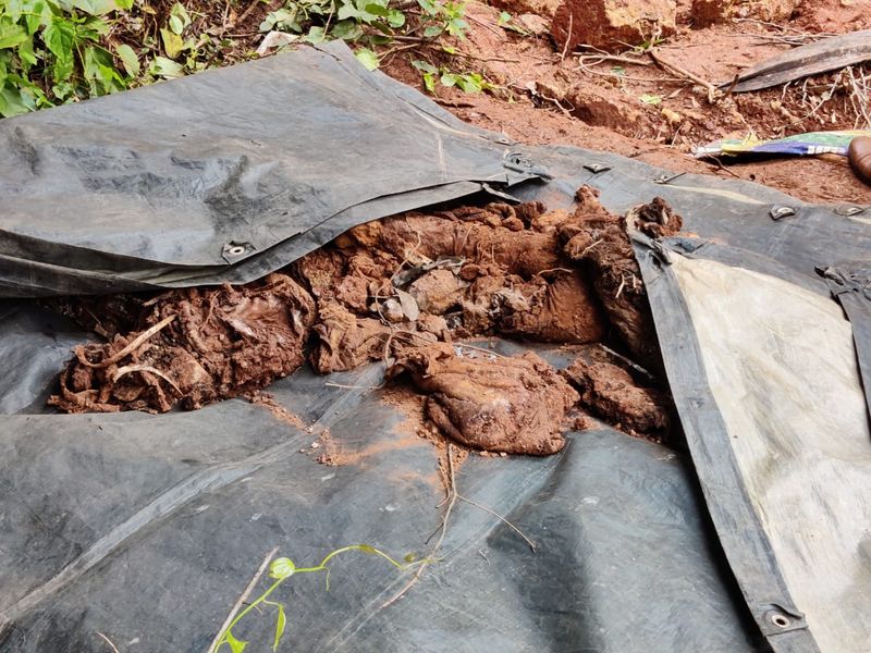 സുബീറയുടെ സ്വര്ണ്ണം മോഷ്ടിക്കാനായിരുന്നു കൊല നടത്തിയതെന്നാണ് പ്രതി സമ്മതിച്ചത്. കൊല്ലപ്പെടുമ്പോള് സൂഹീറയുടെ ദേഹത്ത് മൂന്നര പവന് സ്വര്ണ്ണമായിരുന്നു ഉണ്ടായിരുന്നത്.