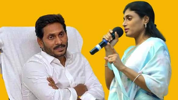 Brother and Sister YS Jaganmohan Reddy YS Sharmila Assets Details AKP