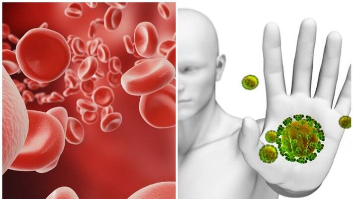 Foods Items That Helps Boost Immunity And Haemoglobin Levels Foods Items That Helps Boost Immunity And Haemoglobin Levels