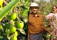 How an army officer took up farming after retirement, earning profitably