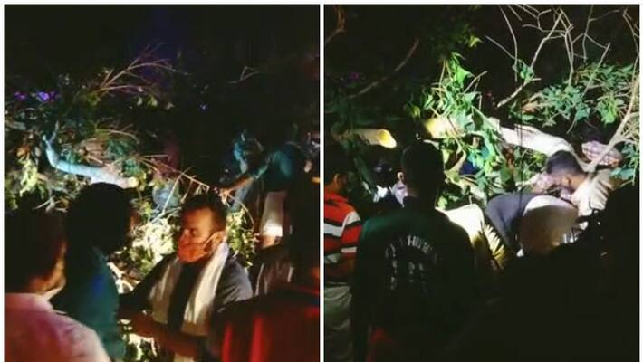 tree collapsed while thrissur pooram tree collapsed while thrissur pooram