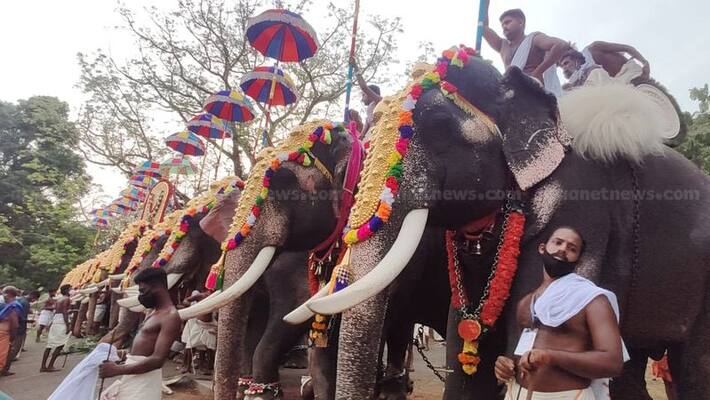 Permission for festivals elephant owners to protest Permission for festivals elephant owners to protest