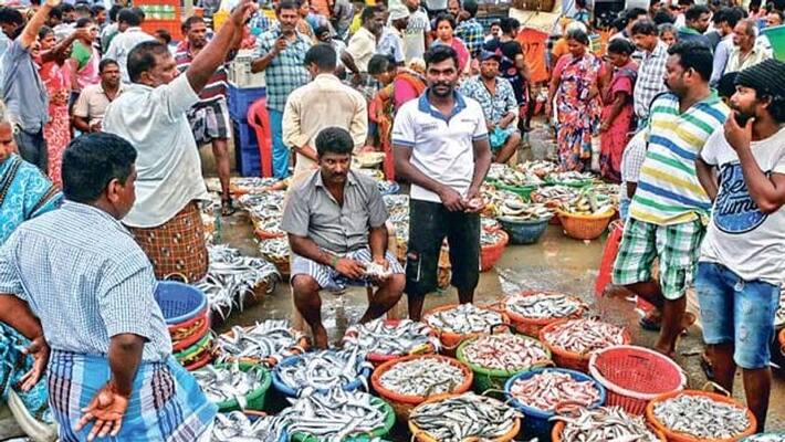 On the occasion of Matupongal people gathered in large numbers at the butcher shops On the occasion of Matupongal people gathered in large numbers at the butcher shops