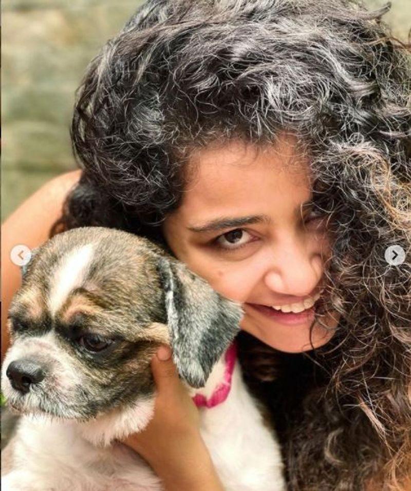 அனுபமா பரமேஸ்வரன் வெளியிட்டுள்ள இந்த கியூட் புகைப்படங்கள் வெளியான ஒரு மணி நேரத்திலேயே இரண்டு லட்சத்திற்கும் அதிகமான லைக்குகளை பெற்றுள்ளது.