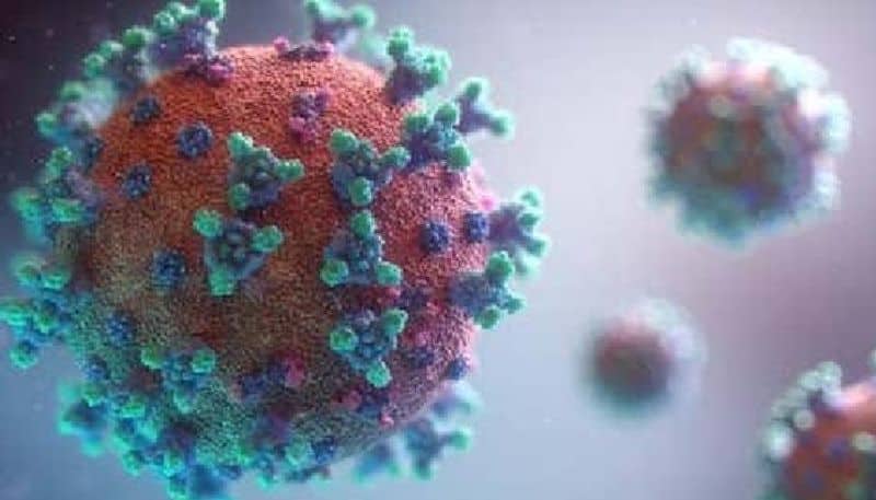 arguments raises as rtpcr fails to detect some coronavirus variants
