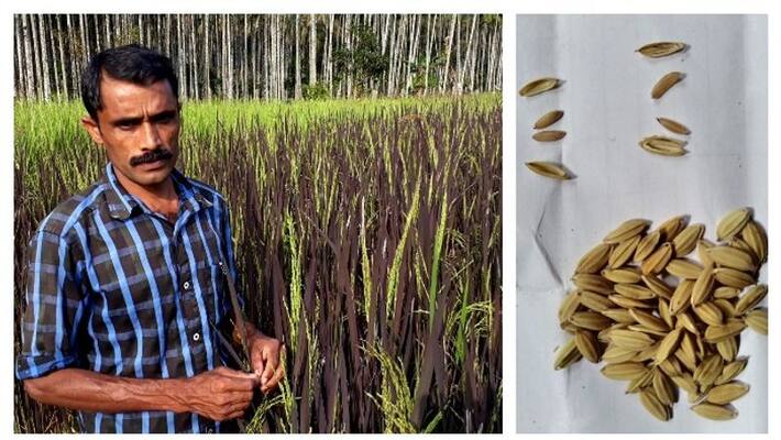 Swaminathan Foundation Award for Young Farmer from wayanad Swaminathan Foundation Award for Young Farmer from wayanad