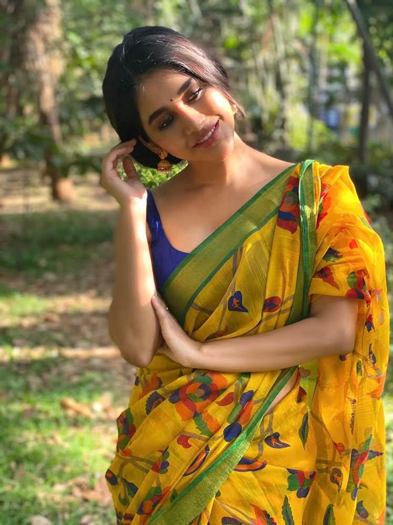 నభా శారీ గ్లామర్ చిత్రాలు.