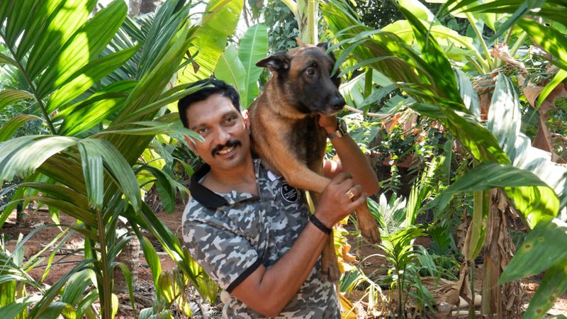 ರಾಘವೇಂದ್ರ ಭಟ್ ಸಾಕಿದ್ದು ಬೆಲ್ಜಿಯನ್ ಮೆಲಿನೋಯ್ಸ್ ತಳಿಯ ಮೂರು ನಾಯಿಗಳನ್ನು. ಈ ನಾಯಿಗಳ ಮರಿಗಾಗಿ ಭಾರಿ ಬೇಡಿಕೆ ಇದೆ.