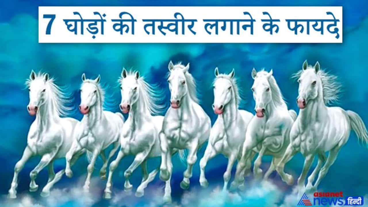 Vastu Tips For Horse Picture कगल स मकत दलत ह सत घड क  तसवर इस दश म लगन स कर परहज  The picture of 7 running horses  gives freedom from poverty