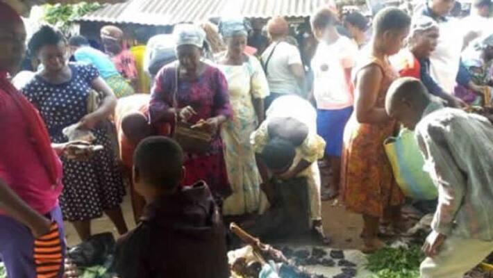 barter system in Akpabuyo community barter system in Akpabuyo community