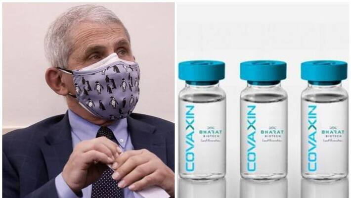 Covaxin found to neutralise 617 variants of Covid says US expert Covaxin found to neutralise 617 variants of Covid says US expert