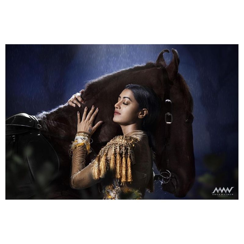 చిరంజీవి `శంకర్ దాదా జిందాబాద్`లో `ఆకలేస్తే అన్నంపెడతా`, ఎన్టీఆర్ `రాఖీ`లో `రాఖీ రాఖీ` లాంటి సూపర్ హిట్పాటలు పాడి ఉర్రూతలూగించింది.