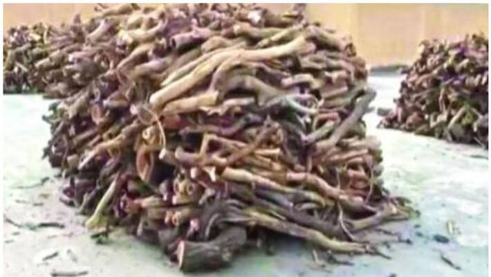 local firewood and charcoal used for commercial activities seized in saudi local firewood and charcoal used for commercial activities seized in saudi