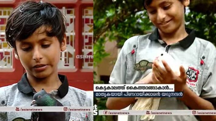 pigeon for sale CMDRF donation by 11 year old boy pigeon for sale CMDRF donation by 11 year old boy