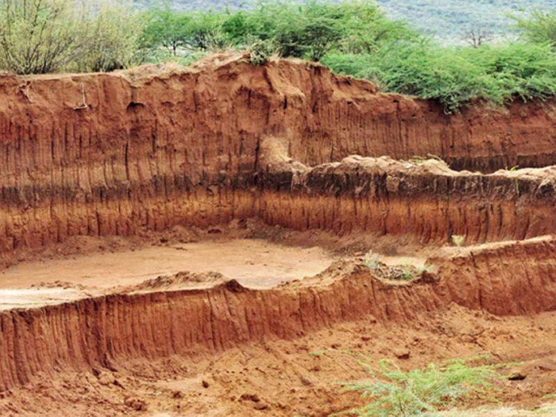 Madras HC directed the covai collector to take action on illegal brick kilns in thadagam