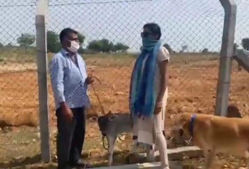 దీంతో ఇక లాభం లేదని భావించిన సుమ డైరెక్ట్గా అక్కడి పాలేరు వద్దకు వెళ్లి `రాముడి(లేగ దూడ)మూతికి మొన్న చిక్కం (వెదురు బుట్టి) ఎందుకు కట్టారు? అని సుమ అడగ్గా.. అది మట్టిని తినకుండా ఉండేందుకు అలా కట్టాను` అని అతను సమాధానమిచ్చాడు.