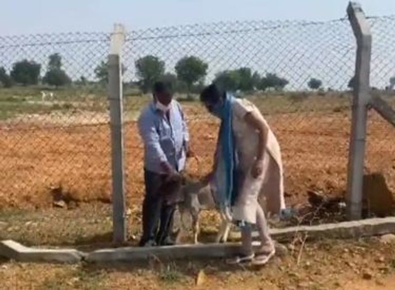 `గోమూత్రంతో మంచి ఎరువు వస్తుందని, ఆవు అంటే శుభం అనే ఉద్దేశంతో ఆవును పెంచుకుంటున్నామనే తప్పా వ్యాపారం కోసం కాదు` అని పేర్కొన్నారు.ఈ వీడియోను సుమ తన ఇన్స్టాగ్రామ్లో షేర్ చేస్తూ తనపై వస్తోన్న నెగిటివికి చెక్ పెట్టారు. 'లేగదూడ మూతికి వెదురు బుట్టి కట్టడంపై చాలా మందికి అనుమానాలు తలెత్తాయి. ఈ వీడియాతో మీ అందరికి సమాధానం దొరికిందని భావిస్తున్నా. మనం ప్రకృతితో పాటు జంతు ప్రేమికులం కూడా..` అంటూ ట్రోలర్స్కు మైండ్ బ్లాంక్ అయ్యేలా కౌంటర్ ఇచ్చింది సుమ.