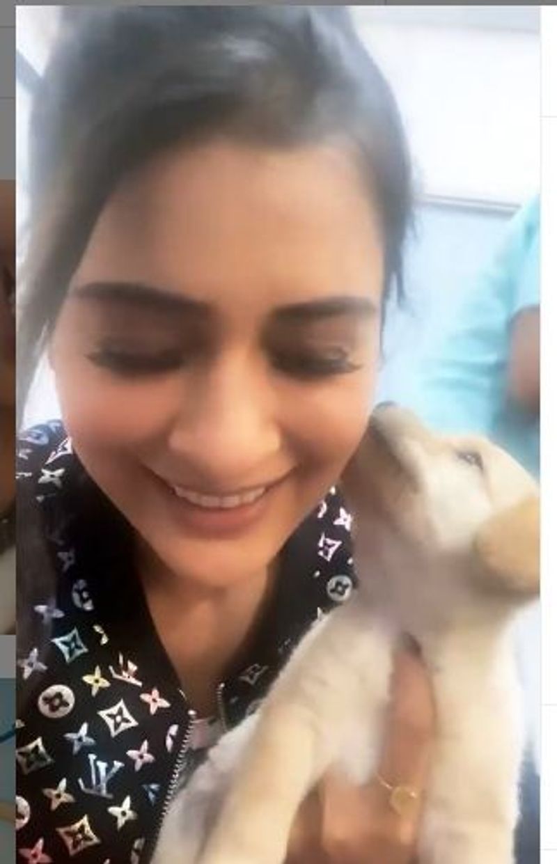 తన పెట్ కుక్క పిల్లతో పాయల్ సరసం వీడియో ఇప్పుడు వైరల్ అవుతుంది. ఇందులో ఆ కుక్కపిల్ల పాయల్ చిన్, హియర్ పై చేసిన పని హాట్ టాపిక్గా మారింది.
