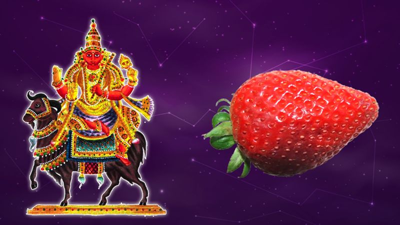<p><strong>3.</strong> मंगल को अनुकूल बनाने के लिए आटे का मोट रोट हनुमान जी को चढ़ाना चाहिए। इसके साथ ही लाल फल सब्जियों आदि के प्रयोग से भी मंगल बलवान होता है।<br />
</p>