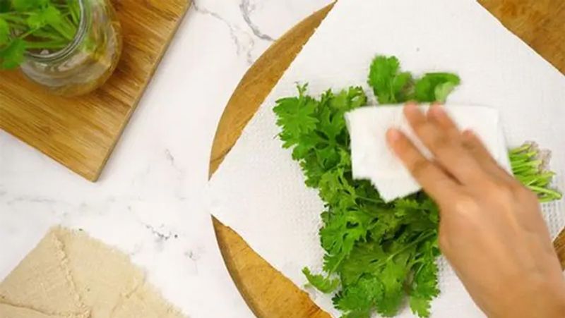 धनिया, पुदीना और हरी मिर्च को लंबे समय तक ताजा रखने के लिए इसे टिशू पेपर में अच्छी तरह लपेटकर किसी छेद वाले डिब्बे या टोकरी में रखें।