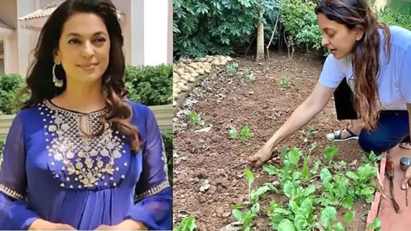 లాక్ డౌన్ లో చాలా మంది రైతులు ఇబ్బంది పడుతున్నారని.. అందుకే.. వారు బియ్యం పండించేందుకు తాను ఆ భూములు ఇఛ్చినట్లు ఆమె చెప్పారు.