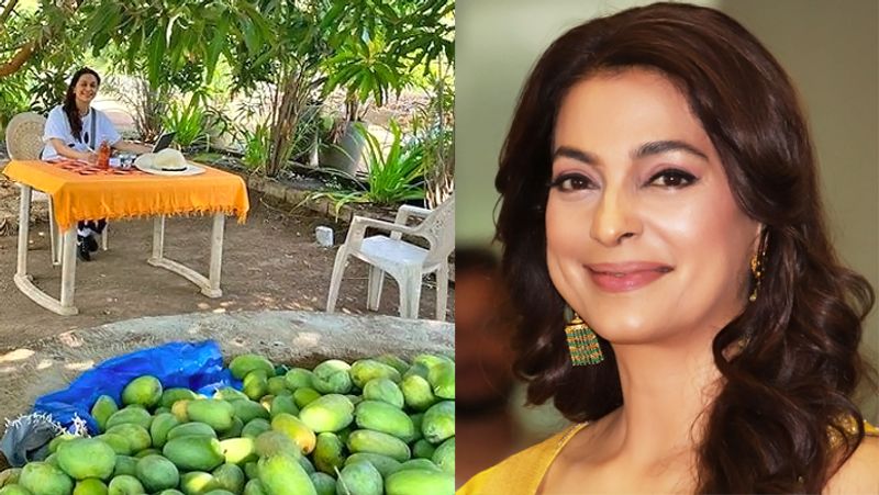 బాలీవుడ్ సీనియర్ నటి జూహీ చావ్లా గురించి పెద్దగా పరిచయం అవసరం లేదేమో. ఆమె గురించి అందరికీ తెలుసు. ఒప్పుడు తన సినిమాలతో, అందచందాలతో అందరినీ విపరీతంగా ఆకట్టుకున్నారు.