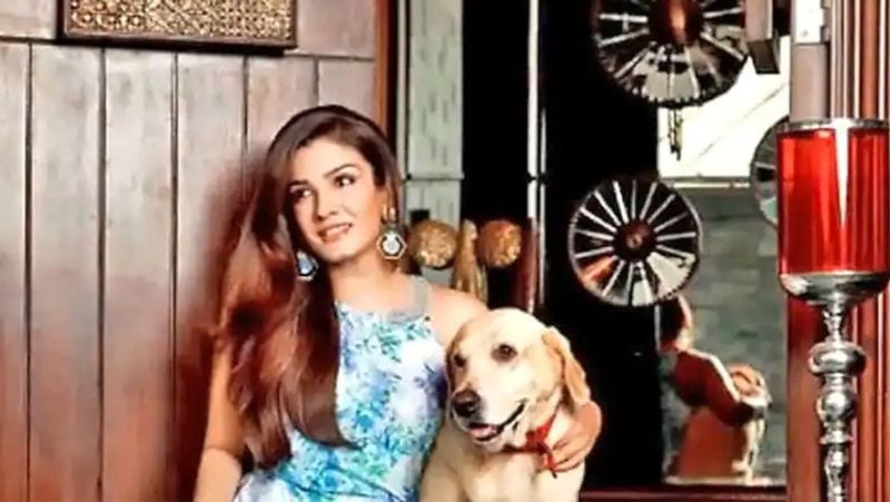 ఇంటి ఎంట్రన్స్ లో రవీనా