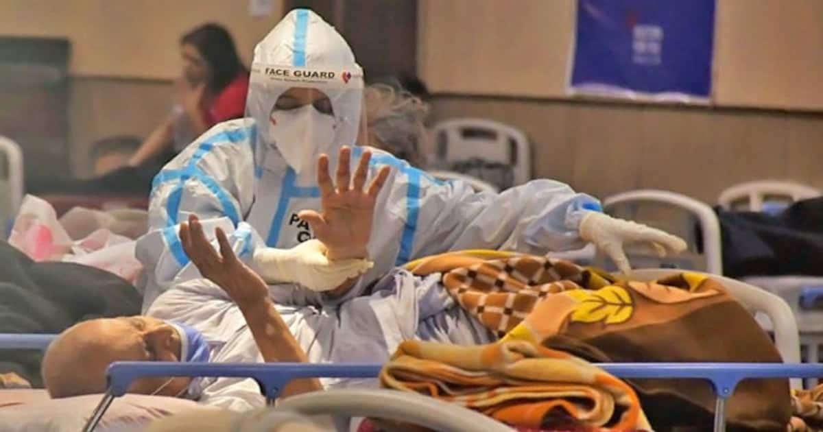 Explained How to identify black, white and yellow fungus?