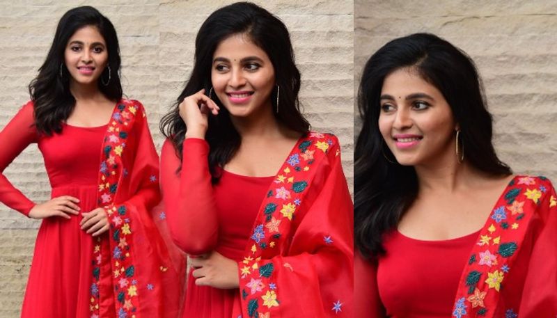 `సీతమ్మ వాకిట్లో సిరిమల్లె చెట్టు` చిత్రంతో తెలుగులో పాపులర్ అయిన అంజలి, `బలుపు`, `గీతాంజలి` వంటి చిత్రాలతో విజయాలను అందుకుంది.