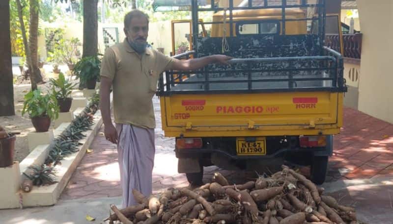 man donates first harvest of tapioca the season to neighbors for free as a support in pandemic time
