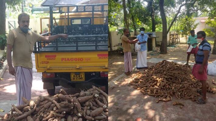 man donates first harvest of tapioca the season to neighbors for free as a support in pandemic time man donates first harvest of tapioca the season to neighbors for free as a support in pandemic time