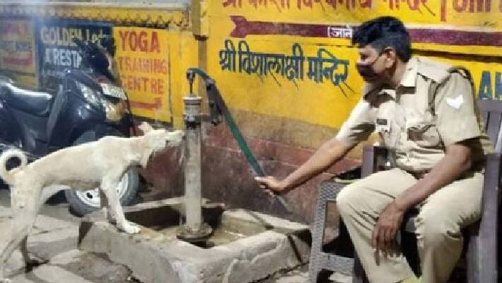 heart touching photo in which cop helps a street dog to get water heart touching photo in which cop helps a street dog to get water
