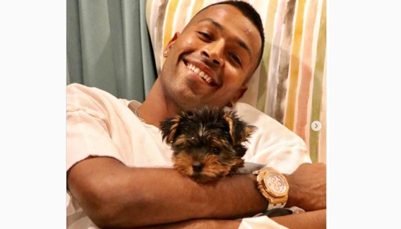 Hardik also has Audemars Piguet Royal Oak Selfwinding Chronograph Rose Gold. He was also spotted wearing the watch while posing with his pet dog.