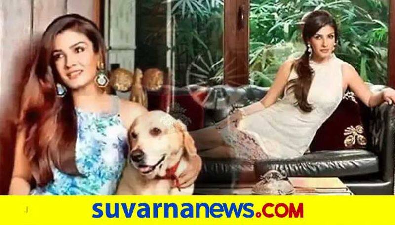 This KGF actress pets ow, monkey bats in her home