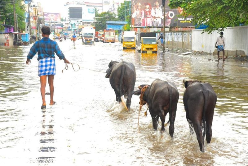 ന്യൂനമർദം ചുഴലിക്കാറ്റായി മാറാൻ സാധ്യതയുള്ളതിനാൽ നാളെ മുതൽ കേരള തീരത്ത് നിന്ന് കടലിൽ പോകരുതെന്നും നിർദ്ദേശമുണ്ട്.
