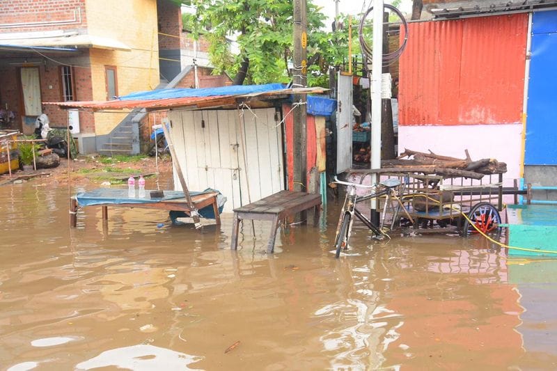 ഇന്ന് മുതൽ വെള്ളിയാഴ്ച്ച വരെ വിവിധ ജില്ലകളിൽ യെല്ലോ അലർട്ട് പ്രഖ്യാപിച്ചു.