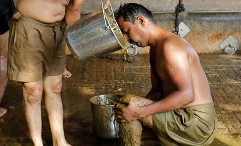 श्री स्वामीनारायण गुरुकुल की तरफ से बताया गया कि उनकी इस गौशाला में 200 से ज्यादा गाय हैं। जहां शहर ही नहीं दूसरे शहरों से भी लोग शरीर पर गाय के गोबर और गोमूत्र का लेप लगवाने आते हैं। जिसको बाद में इसे गाय के दूध से धो दिया जाता है।
