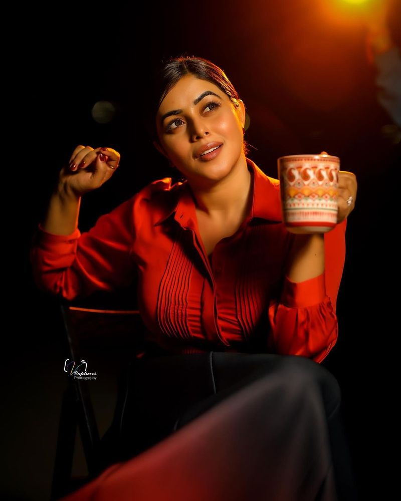 అతను ప్రముఖ వ్యాపారవేత్త అని వార్తలు వస్తున్నాయి. మరి పెళ్లి అనంతర తన నటనా జీవితం గురించి, అలాగే తన కెరీర్ గురించి చర్చించి, వరుడిని ఎంపిక చేసుకోవాలనే ఆలోచనలో పూర్ణ ఉందట.