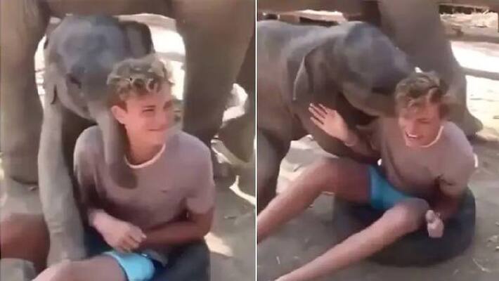 Baby elephant plays with young boy in viral video Baby elephant plays with young boy in viral video