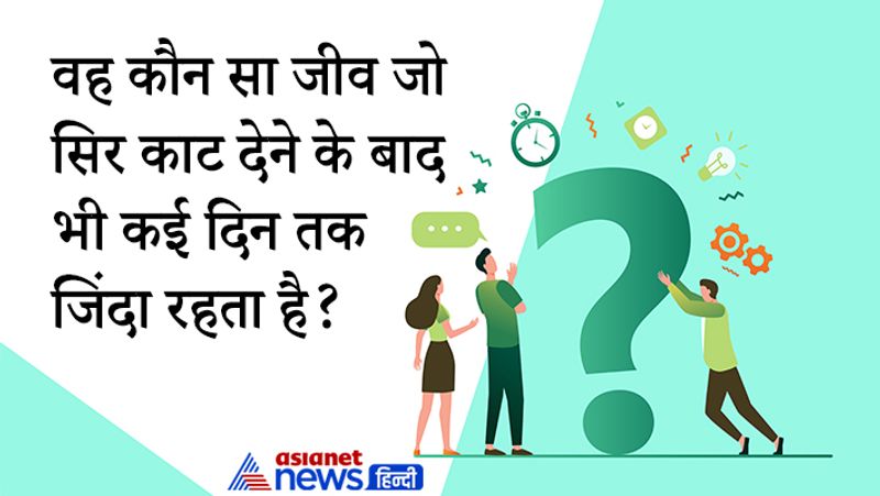 सवाल- वह कौन सा जीव जो सिर काट देने के बाद भी कई दिन तक जिंदा रहता है?
जवाब- कॉकरोच